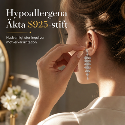 📢📢 50% RABATT!! ⏰S925 sterling silver fjäderörhängen med mikro-zirkoner, elegant set för damer ✨